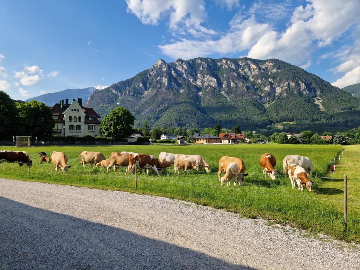 Leo-Hof Apartment Hirschwang Luaran gambar