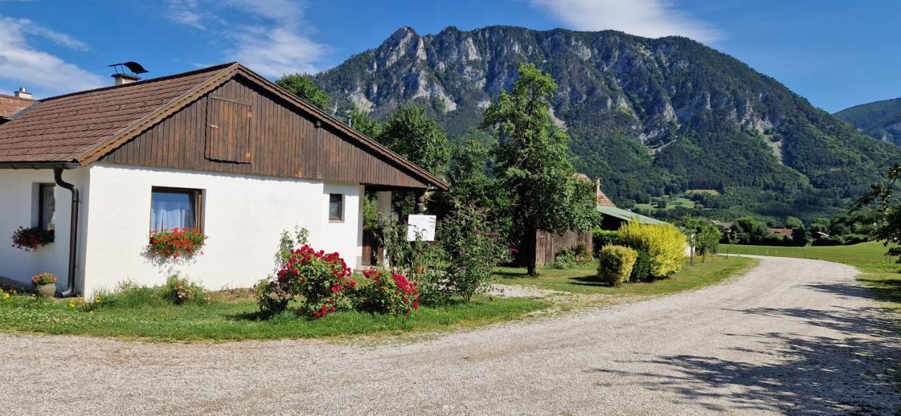 Leo-Hof Apartment Hirschwang Luaran gambar